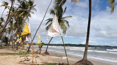 Hindu prayer flags along Manzanilla #Beach Trinidad.