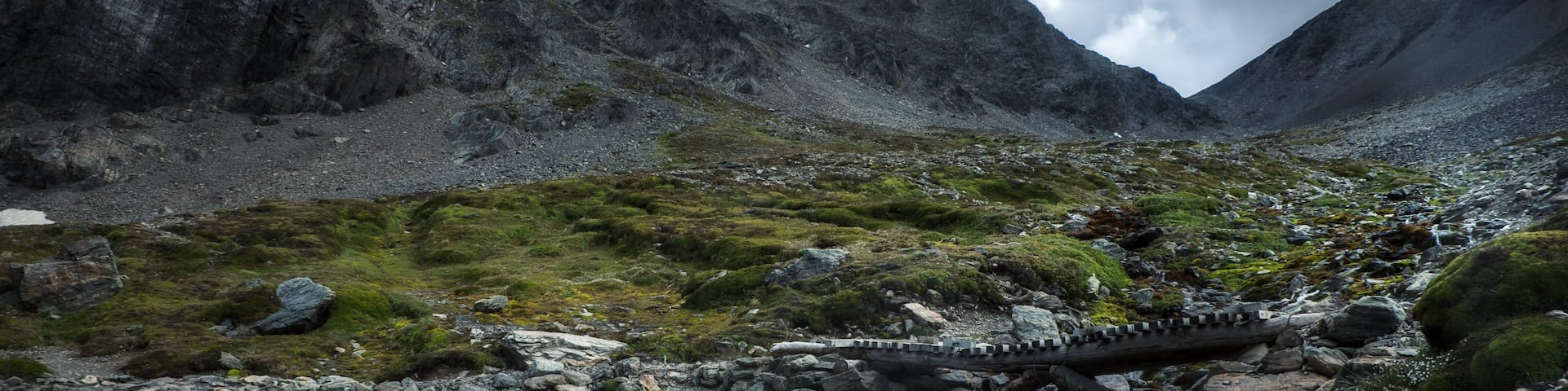 #Adventure
The Martial glacier,high above Ushuaia, nature at it's most primeval.