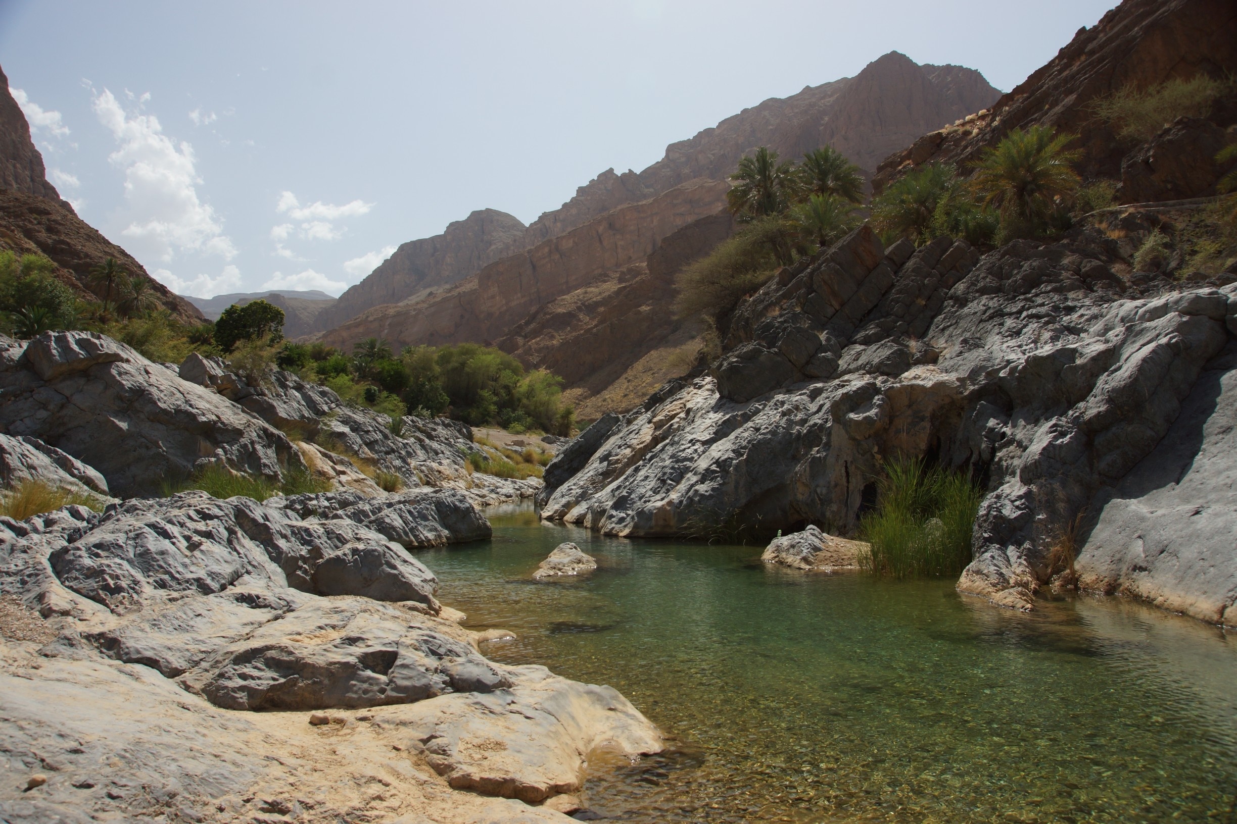Further upstream, this doesn't look deep, but is at least 7 feet deep in the darker green parts.  A pair of old sand shoes or reef shoes and the ability to swim are needed for continuing up the wadi, but it is well worth the effort.