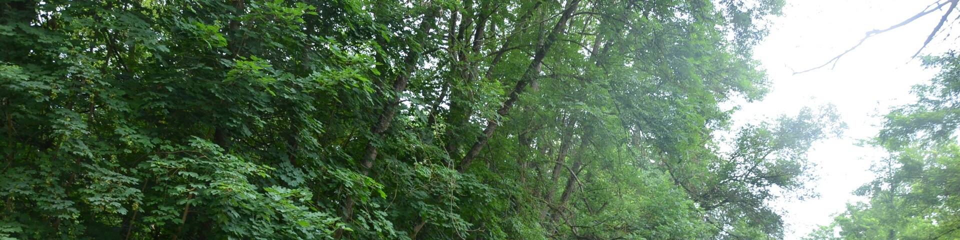 Ulmet, Renânia-Palatinado, Alemanha