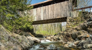 Straight out of Sleepy Hollow! Gold Brook Covered bridge. The best angle is from the other side of the river bank from where you park. You can get all the river in the image.