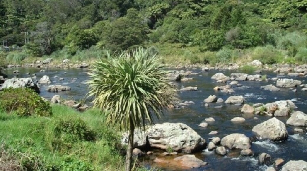 Karangahake Gorge, Kaimai-Mamaku Forest Park, Waikato, New Zealand