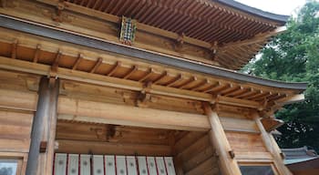 The beautiful entrance gate into Oyamazumi Shrine, made from camphorwood.

Oyamazumi Shrine is located on Omishima, one of the islands   in the Seto Inland Sea between Hiroshima prefecture and Ehime Prefecture.

How to get there: On the Shimanami Kaido Highway by car or local bus.