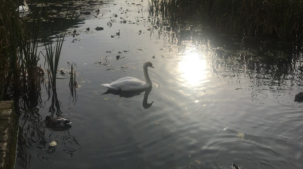 Foto av Matilda French