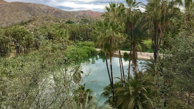 A levy along the Santa Rosalia River in Mulegé. The area has been devastated by 4 floods in the past 10 years. 

#bajacalifornia

(March 2017)