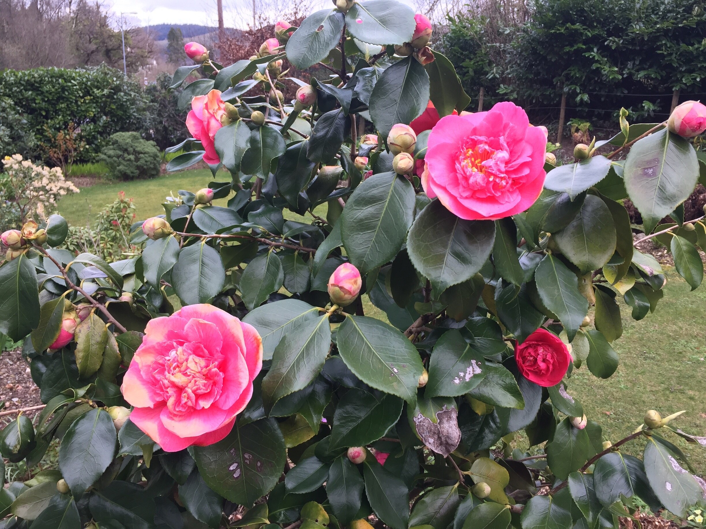 Billede taget af Jude Cutts