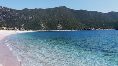 Beaches of Arcadia. Sometimes paradise is a beach closer than you think.
https://foodandtravel.blog/2019/06/19/discover-5-of-the-best-beaches-in-arcadia-greece/