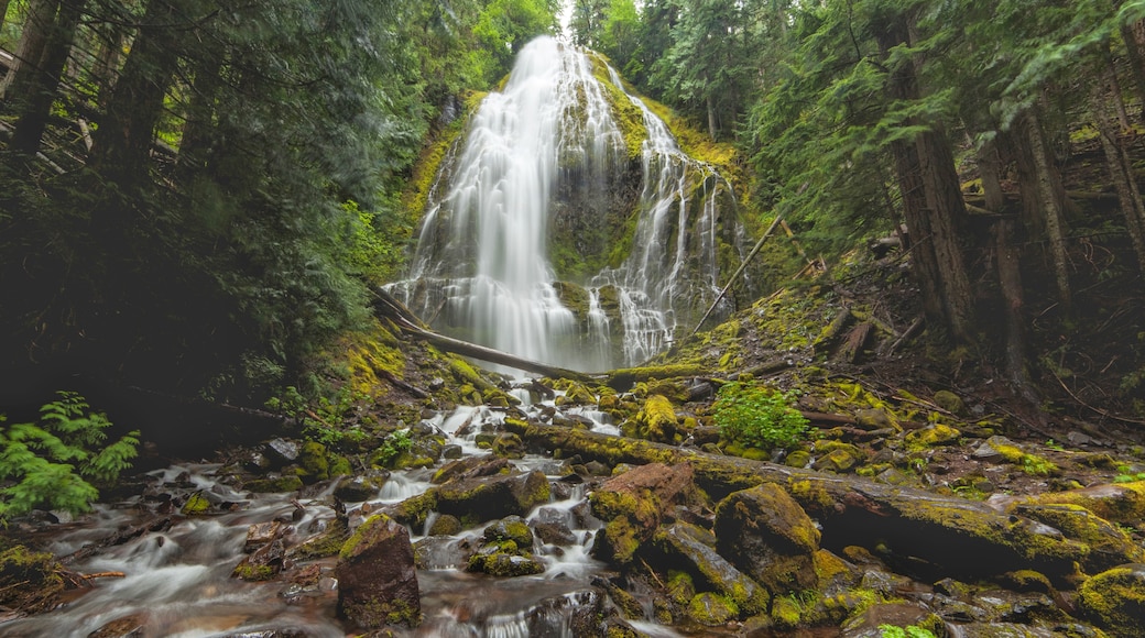 Proxy Falls, Blue River, Oregon, Amerika Serikat