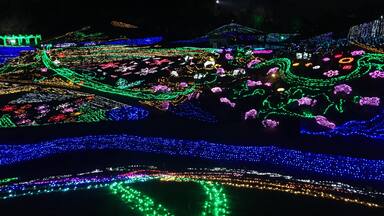 Simply magical field of illuminations 