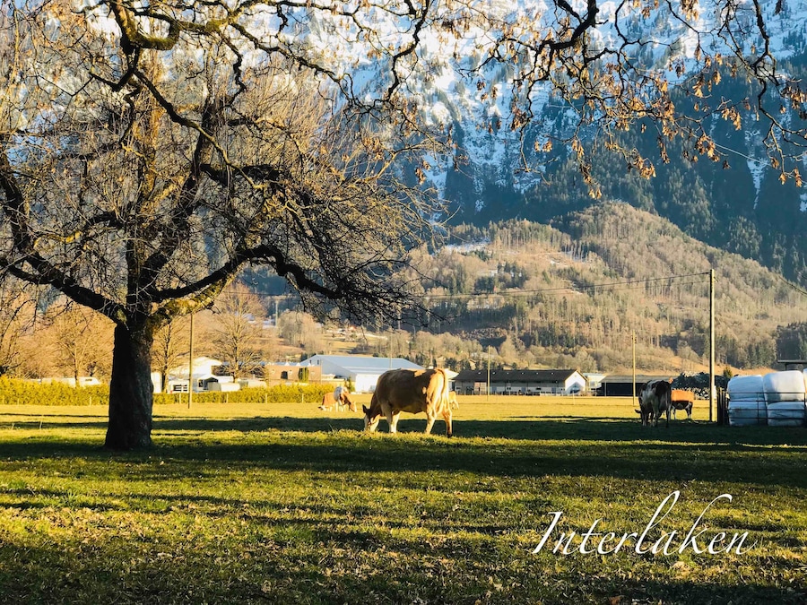 This is Switzerland