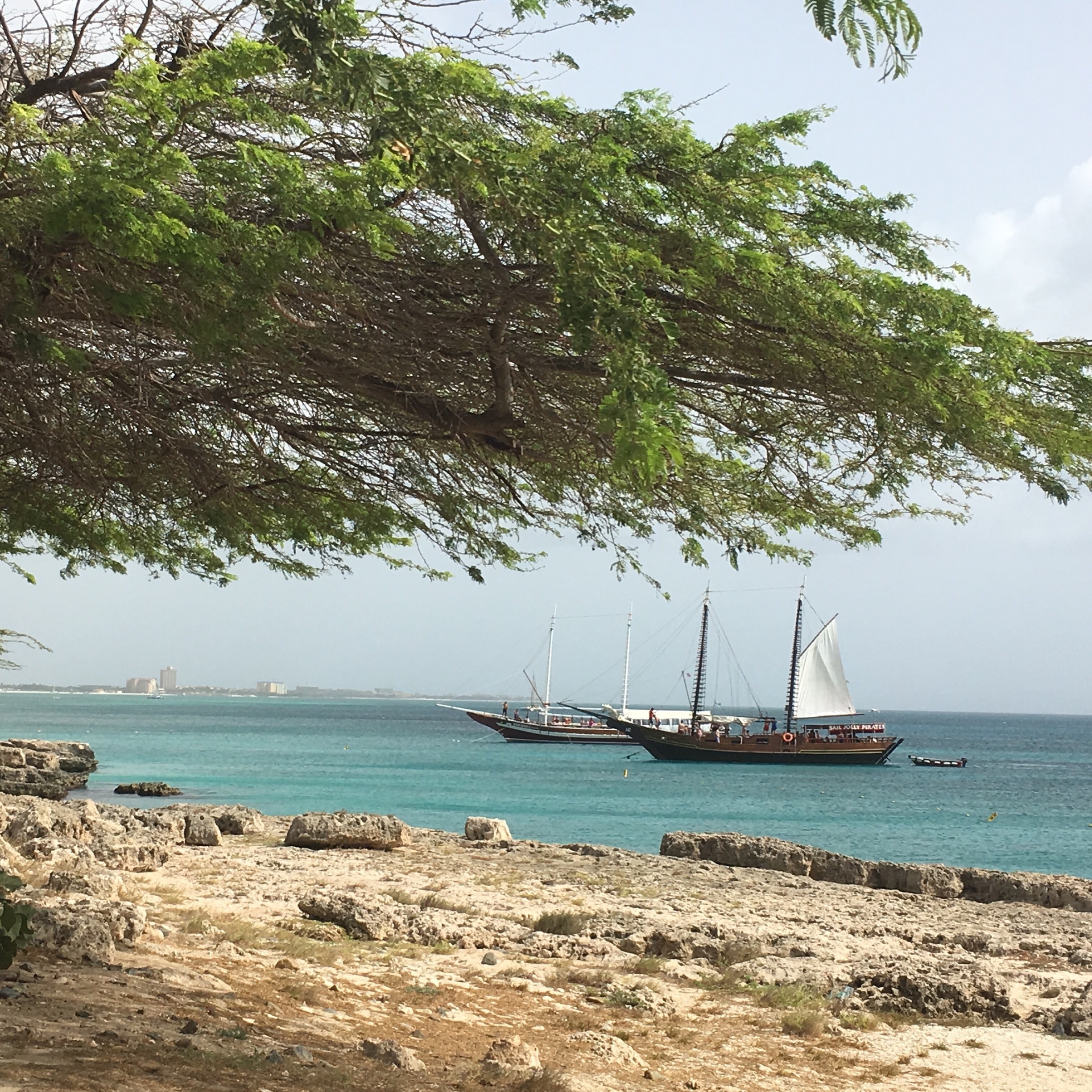 This is the beautiful island of Aruba, with pristine beaches, friendly people and , home of the Divi Divi trees and lots of Iguanas and our favorite island in the Caribbean ⛰🌴