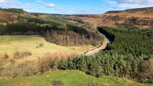 Photo by Neil Ellwood