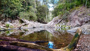 An amazing spot to cool off on a hot day. Was too slow to get
the goanna - abundant wildlife and swimming holes
