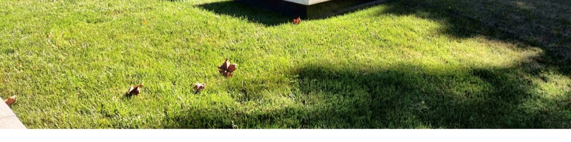 West Branch, Iowa, United States of America