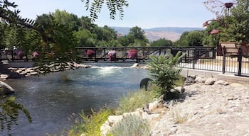 This picturesque River Walk features beautiful flowers that adorn the walking bridge. It is surrounded by a dense wooded area that's framed by the peaks of the Truckee River's mountain range. 
#LifeAtExpedia 