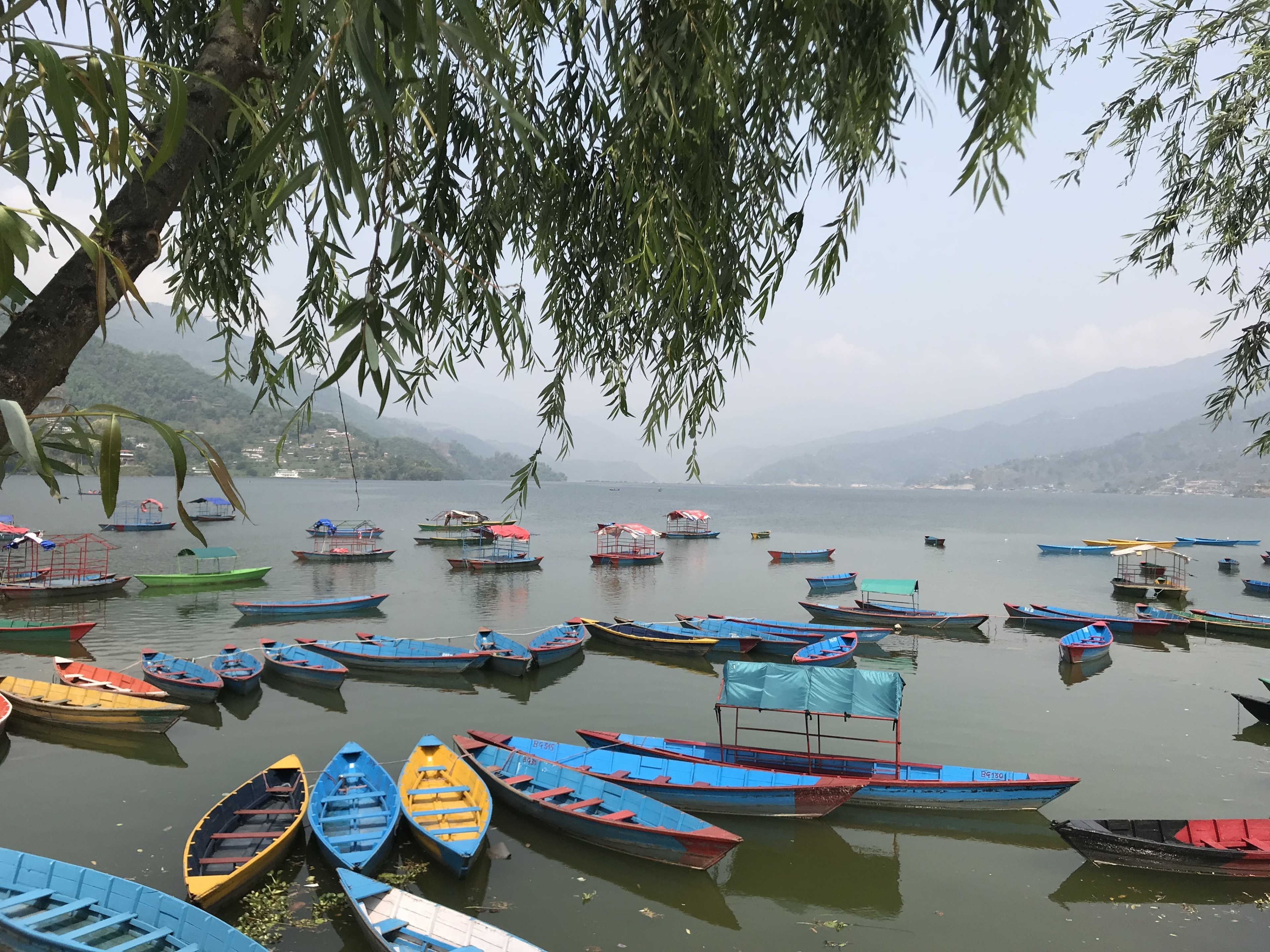 Parked Coloured boats in Phewa Lake. Do not forget to take a Boat trip if you are in Pokhara. Its a long and relaxing trip and and not so expensive.