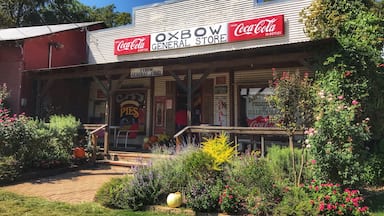 Nestled along the banks of Caddo Creek in Old Town Palestine, Oxbow Bakery is a slice of old-timey heaven that serves a wickedly sinful slice of pie.  Well worth the 350 mile motorcycle ride!