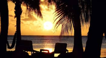 I loved Gran Melia Resort! Sunrise was nice off Coco beach