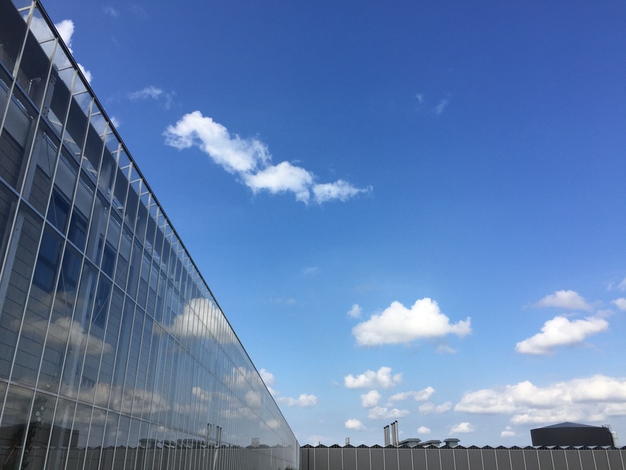 Huge greenhouse