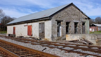 This abandoned train depot was constructed by the State of Georgia in 1848, and is one of the oldest in Georgia.  The depot witnessed many important events during the Civil War; a speech by Confederate President Jefferson Davis in 1861; the Great Locomotive Chase of 1862; a Civil War battle; and the first headquarters of General William T. Sherman during his Atlanta Campaign.  