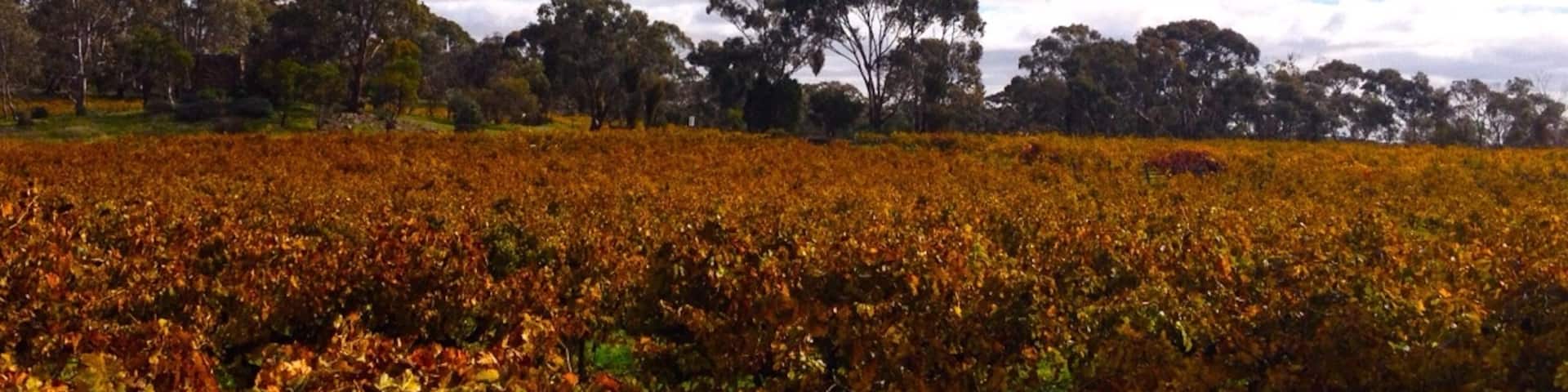 Sevenhill, Australia Meridional, Australia