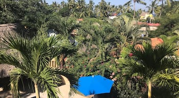 Taken from the balcony at Casa Azul in Sayulita, Mexico #green 