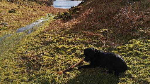 Foto von Sharon Sunshine