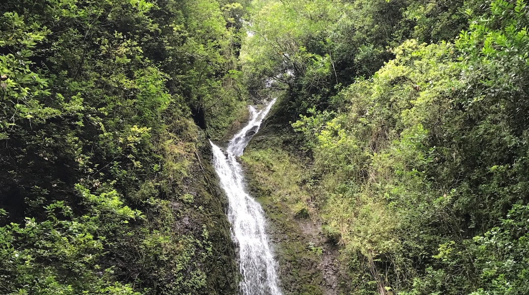 Lulumahu Waterfall Trailhead, Honolulu, Hawaii, United States of America