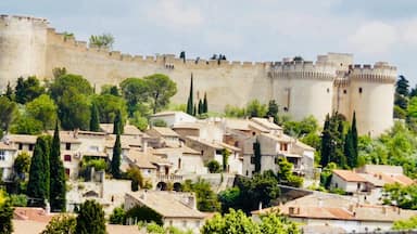 A stunning view of the old Fort Just across the River Rhône from Avignon centre