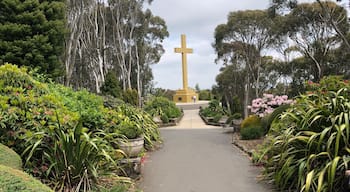 Mount Macedon memorial cross. A lovely spot for a family picnic. Easy access. Has a cafe nearby. Great views of surrounding countryside.