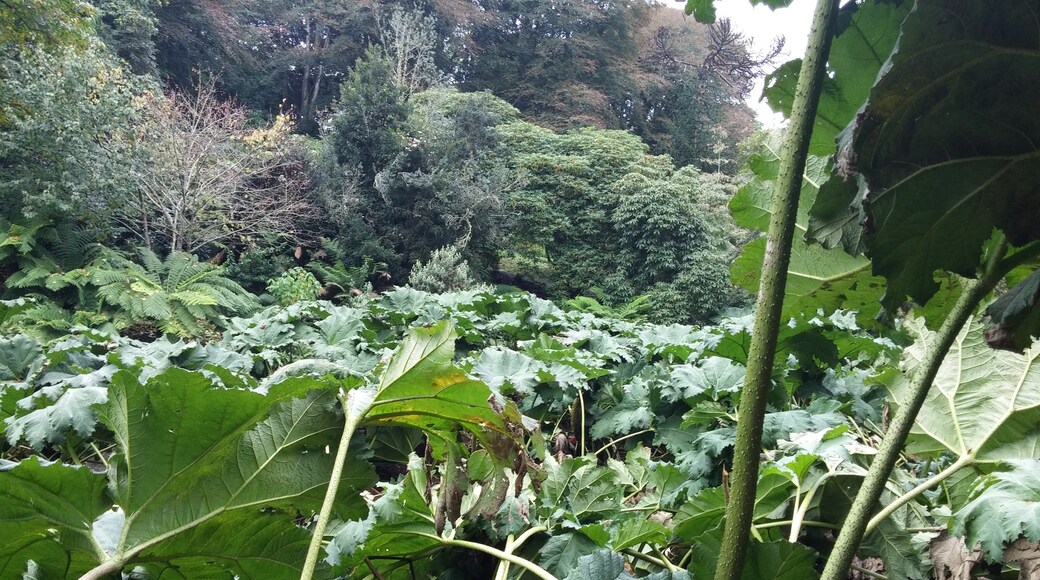 Valokuva: Terry Hicks