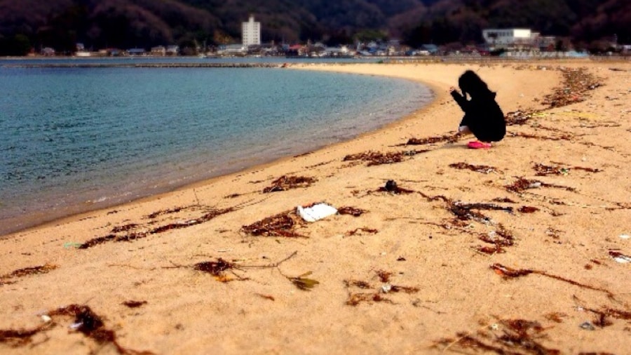 敦賀、鞠山海水浴場