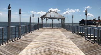 Private dock to create your own oasis. What a gem. 

#LifeAtExpedia
#Tampa
#Beaches 