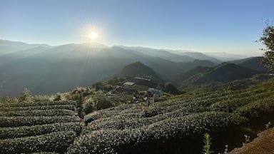 Fancy waking up to fresh air and a beautiful sunrise overlooking tea plantations? This view is round the corner (literally 2-minutes) from the Alishan Tea Garden B&B. There are usually locals also waiting to catch the sunrise so listen to their cues on what time would give you the best shot! #LifeAtExpedia