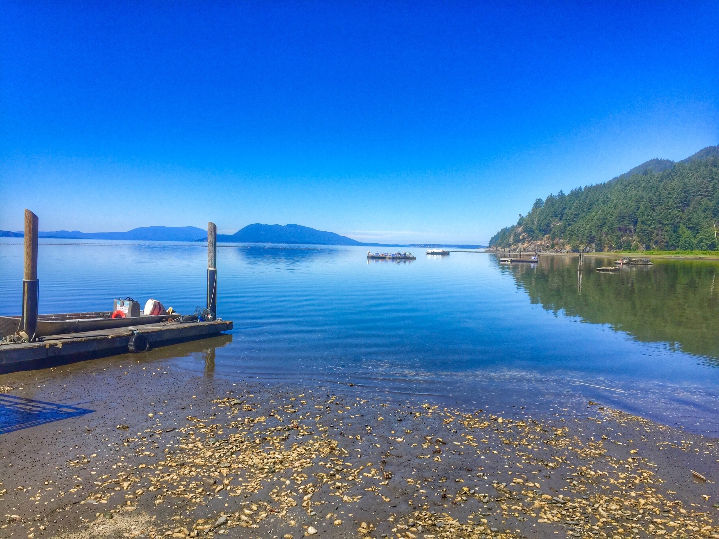 This cool shellfish farm just north of Seattle, WA is a great place to buy fresh oysters, especially after hiking to Oyster Dome. 

#AquaTrove