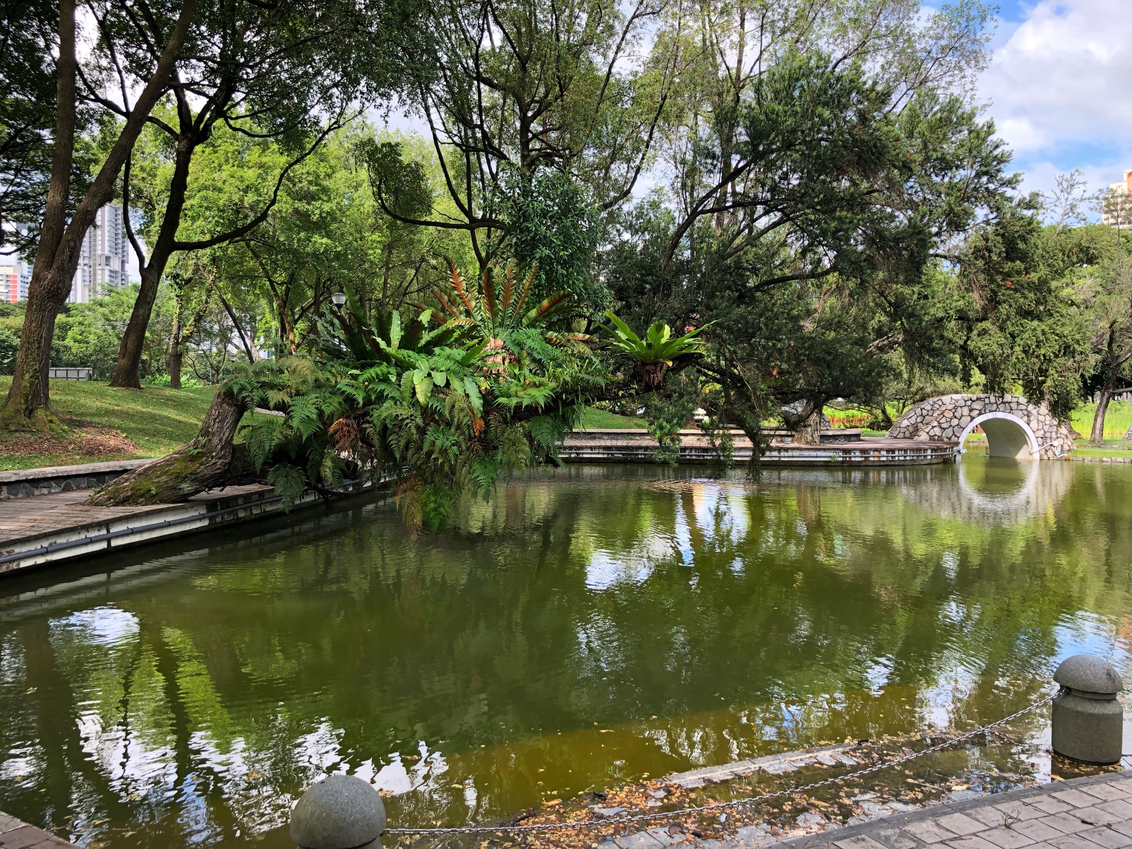 Completed in 1973, it is a great place for a walk. It has tortoises and fish in the pond. (January 2019)

#Trovember