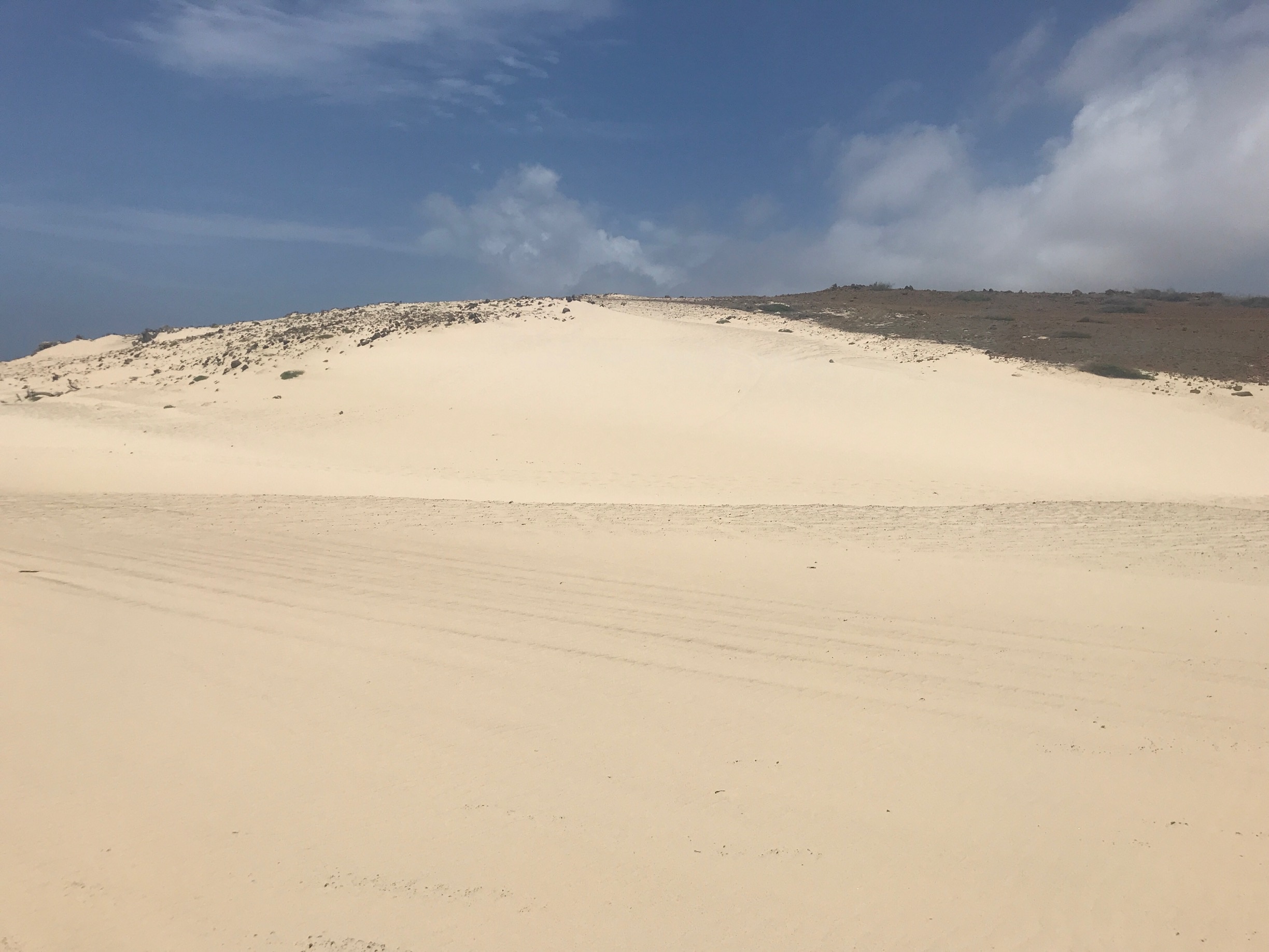 Desert beach in eastern Aruba.