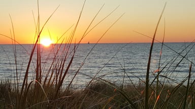 Enjoy a stunning sunset on Lake Michigan. $8 to enter the beach but good for the whole day. 