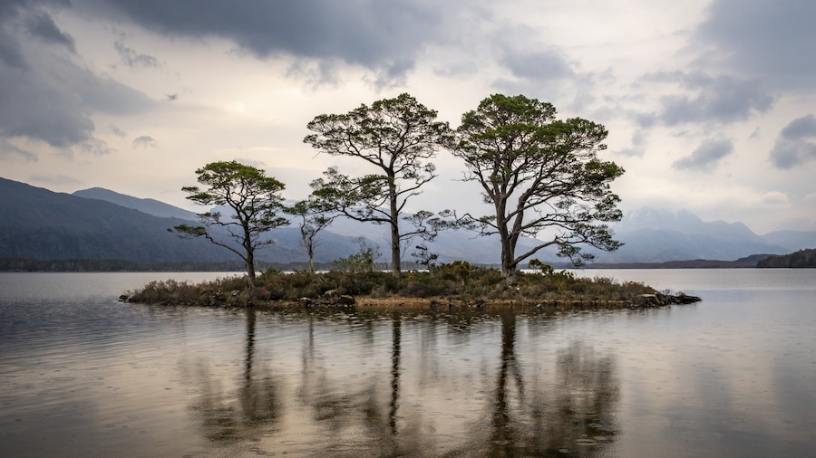 Loch Maree