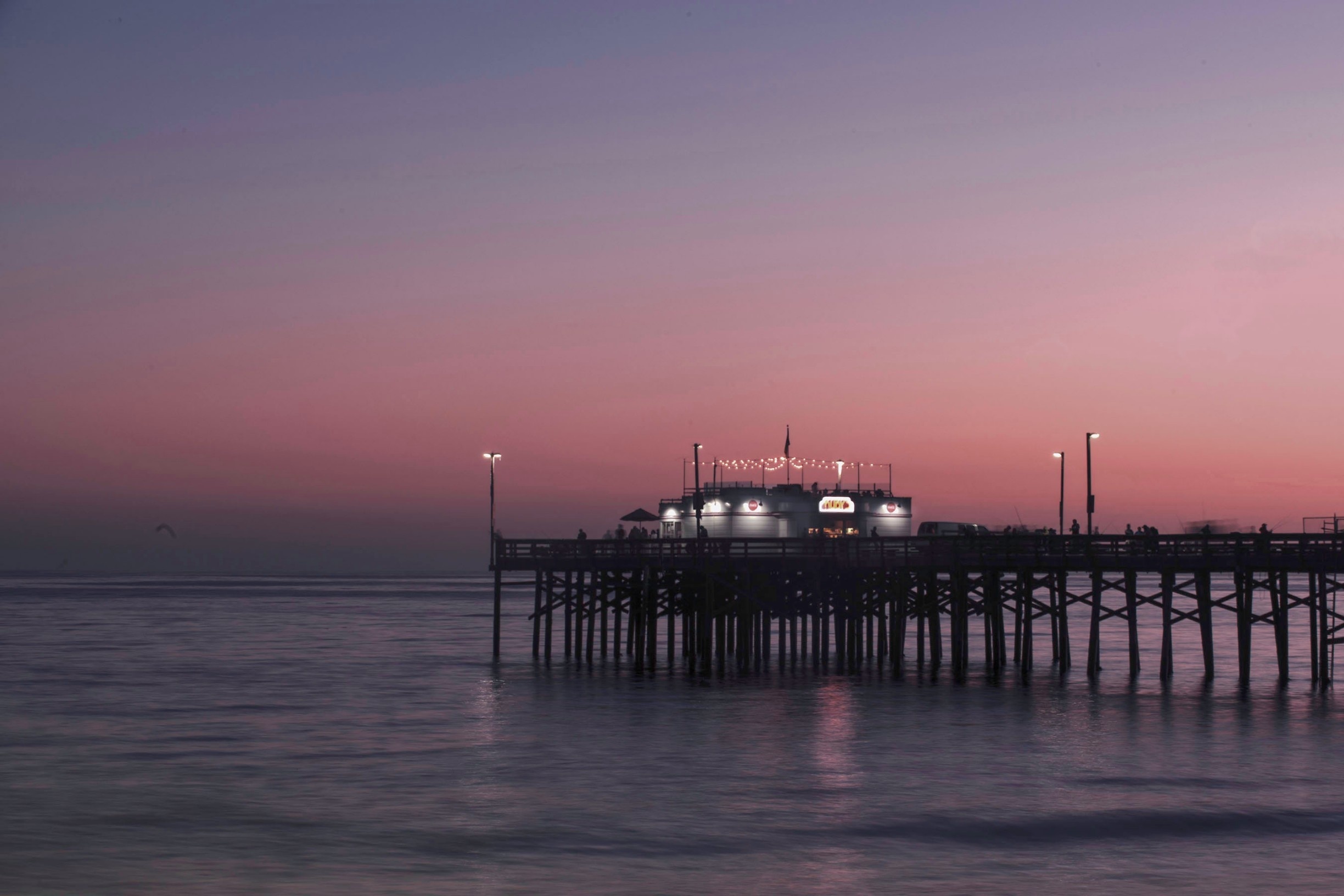Photo by robb image