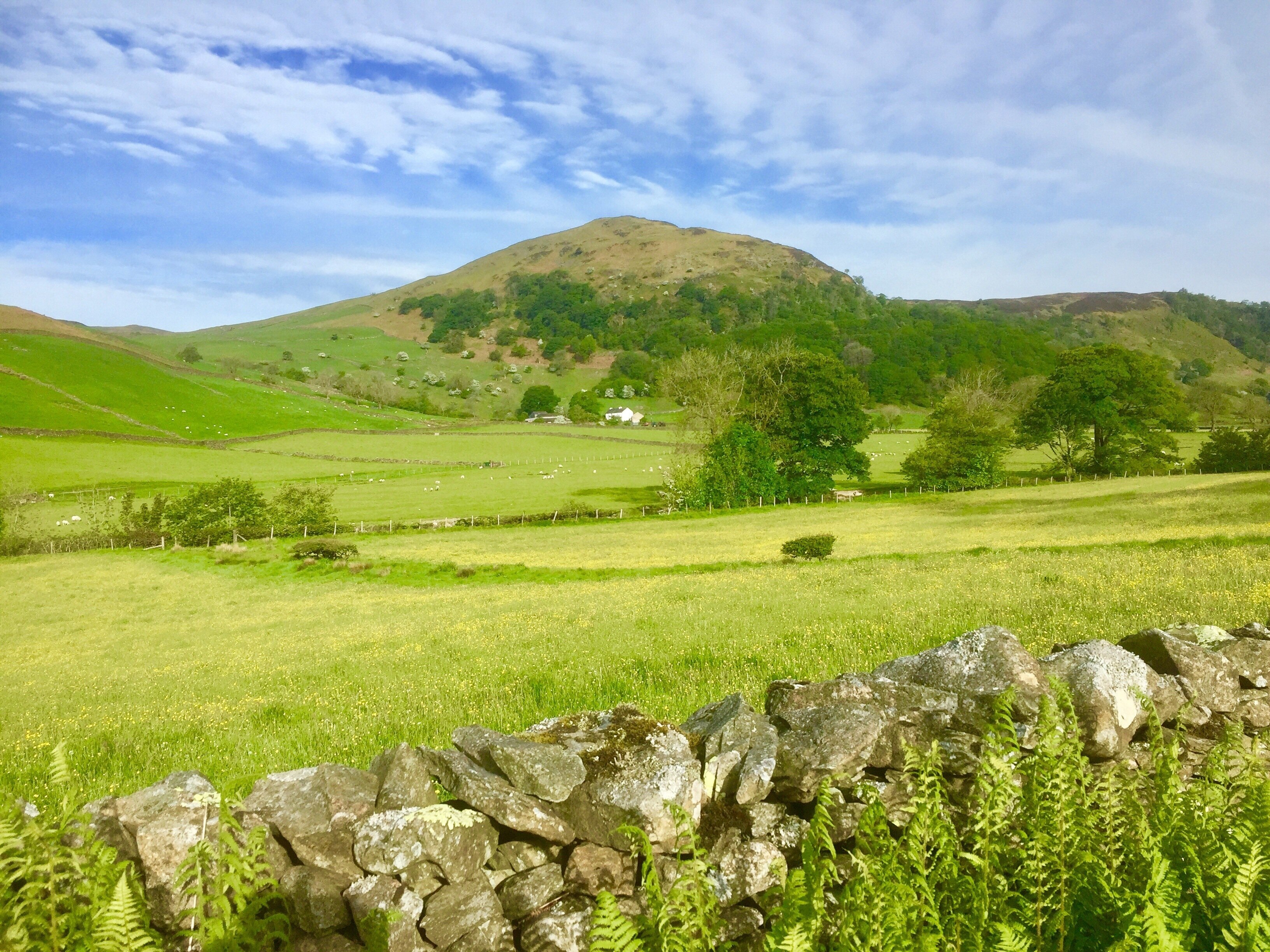 Foto tomada por Kathy Appleby