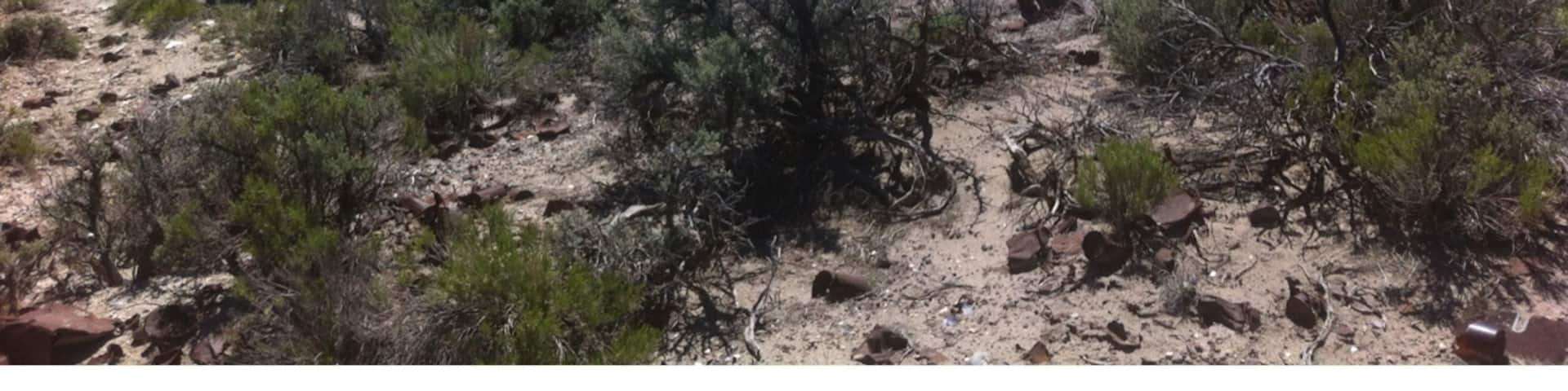 Cobre ghost town