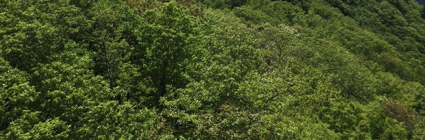 Caldwell County, 北卡羅來納, 美國