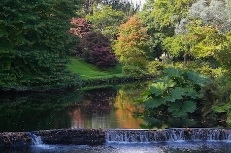 value: "the autumn colours are just arriving at Mount Usher Gardens, Co Wicklow"
