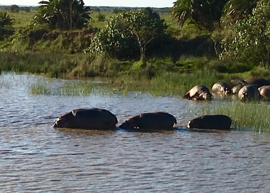 St. Lucia, Južná Afrika