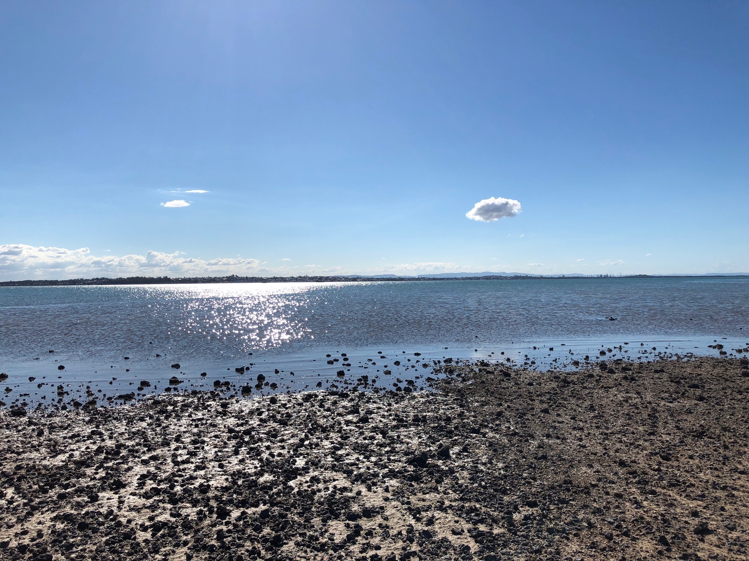Little white Cloud.
Wellington Point Brisbane.
At low tide you can walk to a small island called King Island. When the tide comes in you can cross in waist deep water.