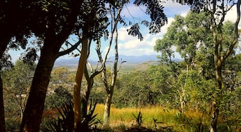 One of the views on castle hill steps 