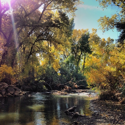 Nice paved path the follows the #river for miles