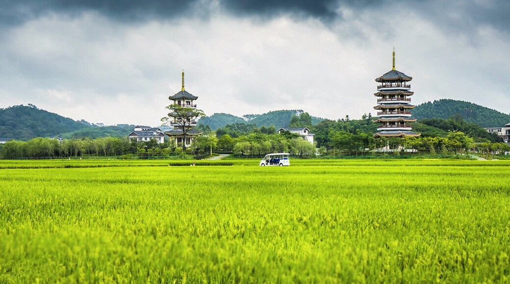 Visit Yulin: 2021 Travel Guide for Yulin, Guangxi | Expedia