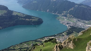 View from the observation deck at Fronalpstock.